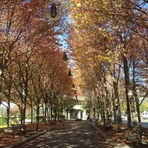 Meet your Posher, Amina